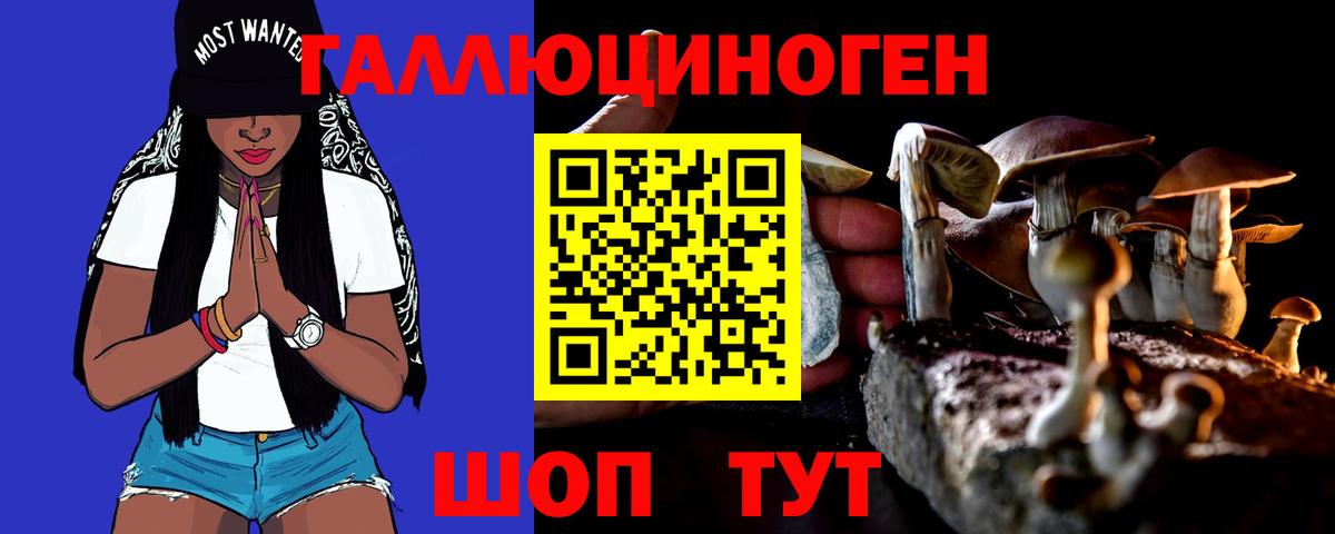 Псилоцибиновые грибы Magic Shrooms  Псилоцибиновые грибы Psilocybe  как найти закладки  Вход с VPN  Междуреченск 